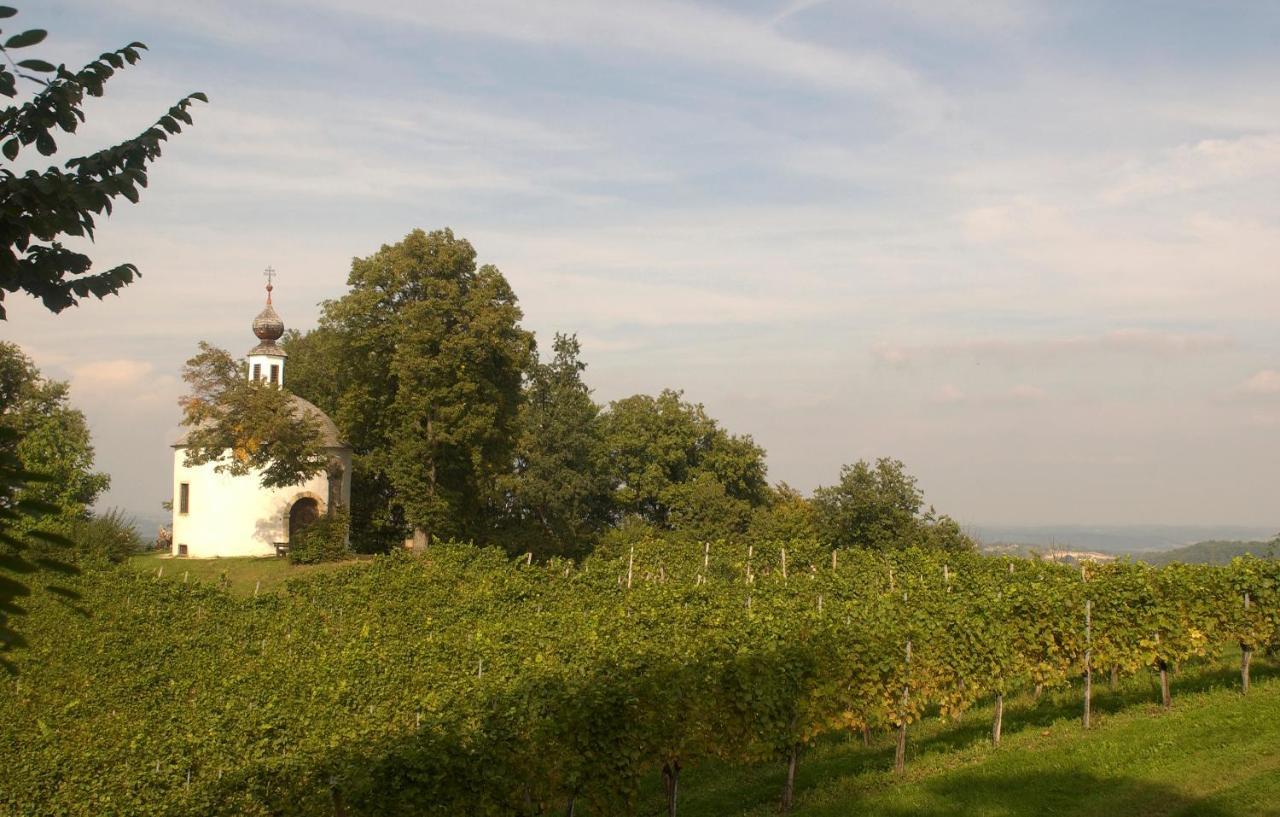 Schloss Kapfenstein Ngoại thất bức ảnh
