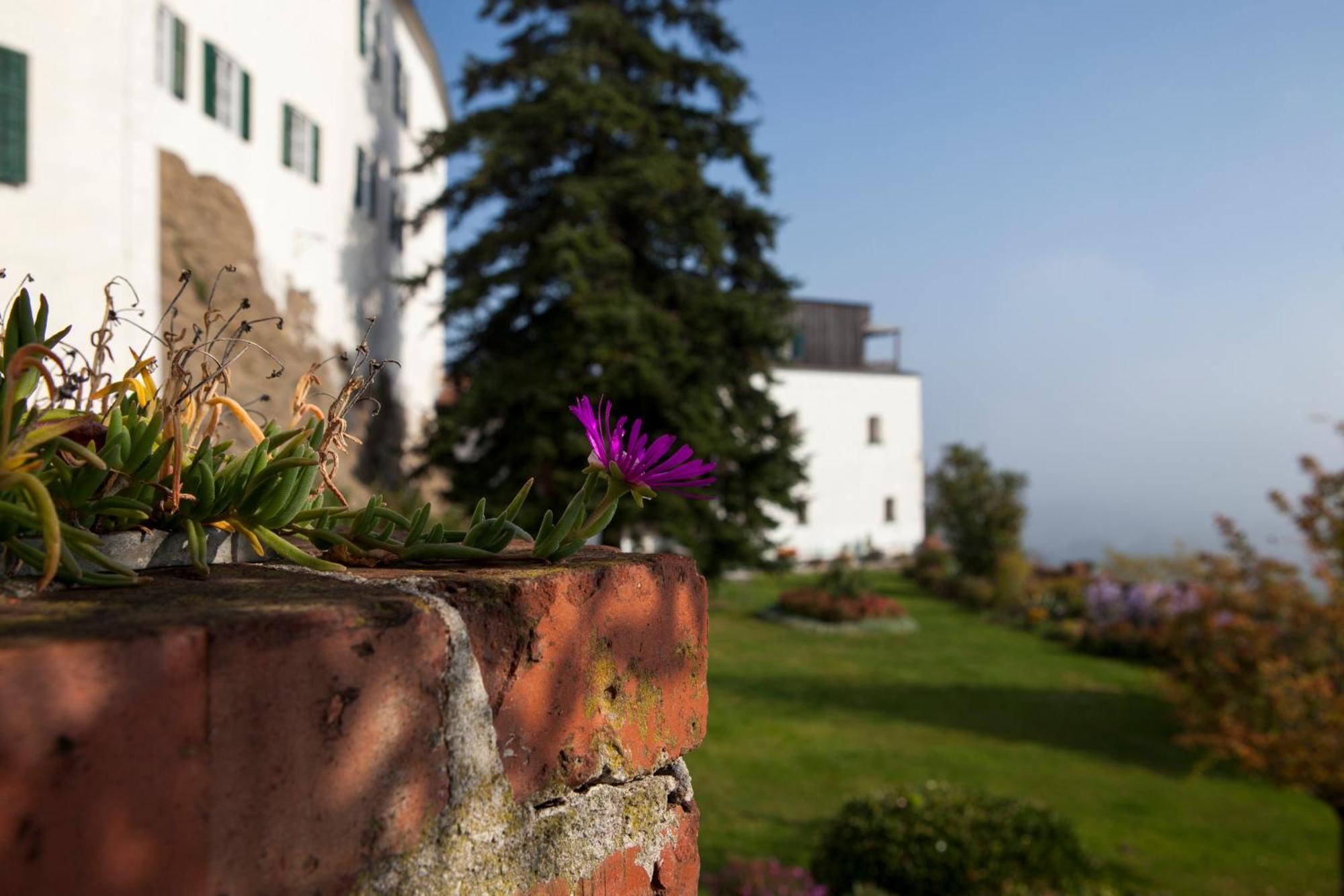 Schloss Kapfenstein Ngoại thất bức ảnh